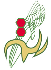 SlaynKopril-logo.jpg