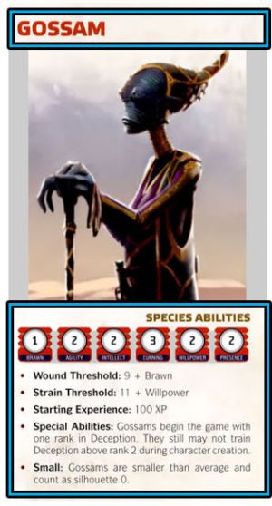 Gossam.jpg