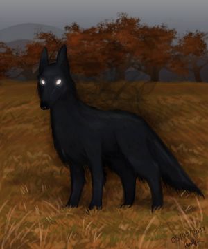 Black Dog