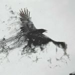 Shadow raven.jpg