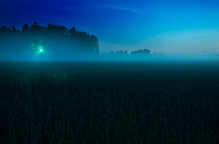 Twilight Stirring.jpg